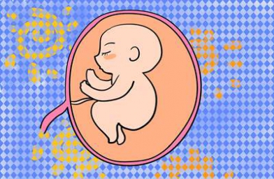 卵巢功能差赴俄罗斯试管婴儿，有哪些问题需要注意?